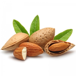 Almonds with Shells