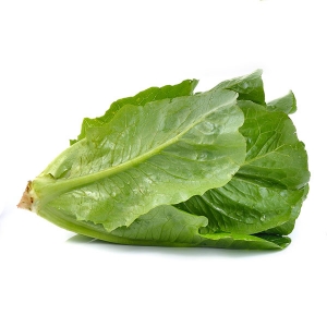 lettuce-romaine